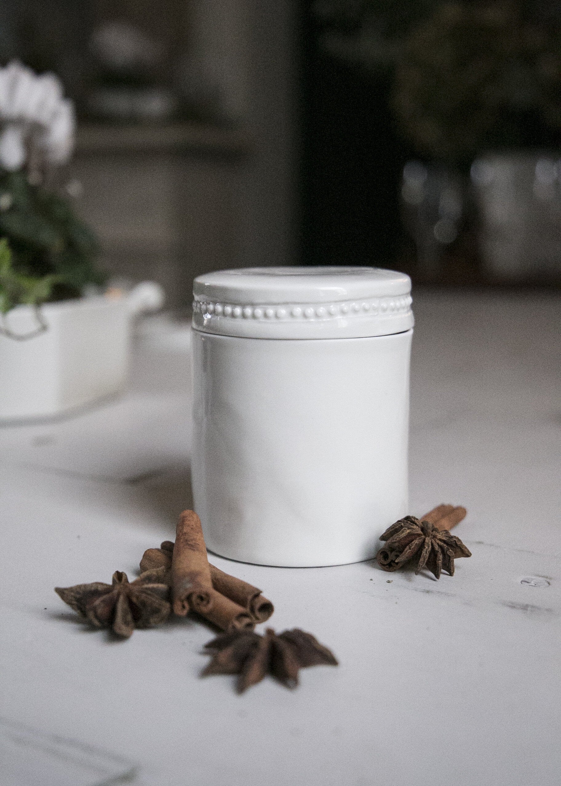 Boîte ronde | Porcelaine de Limoges | Fait à la main | Alix D. Reynis