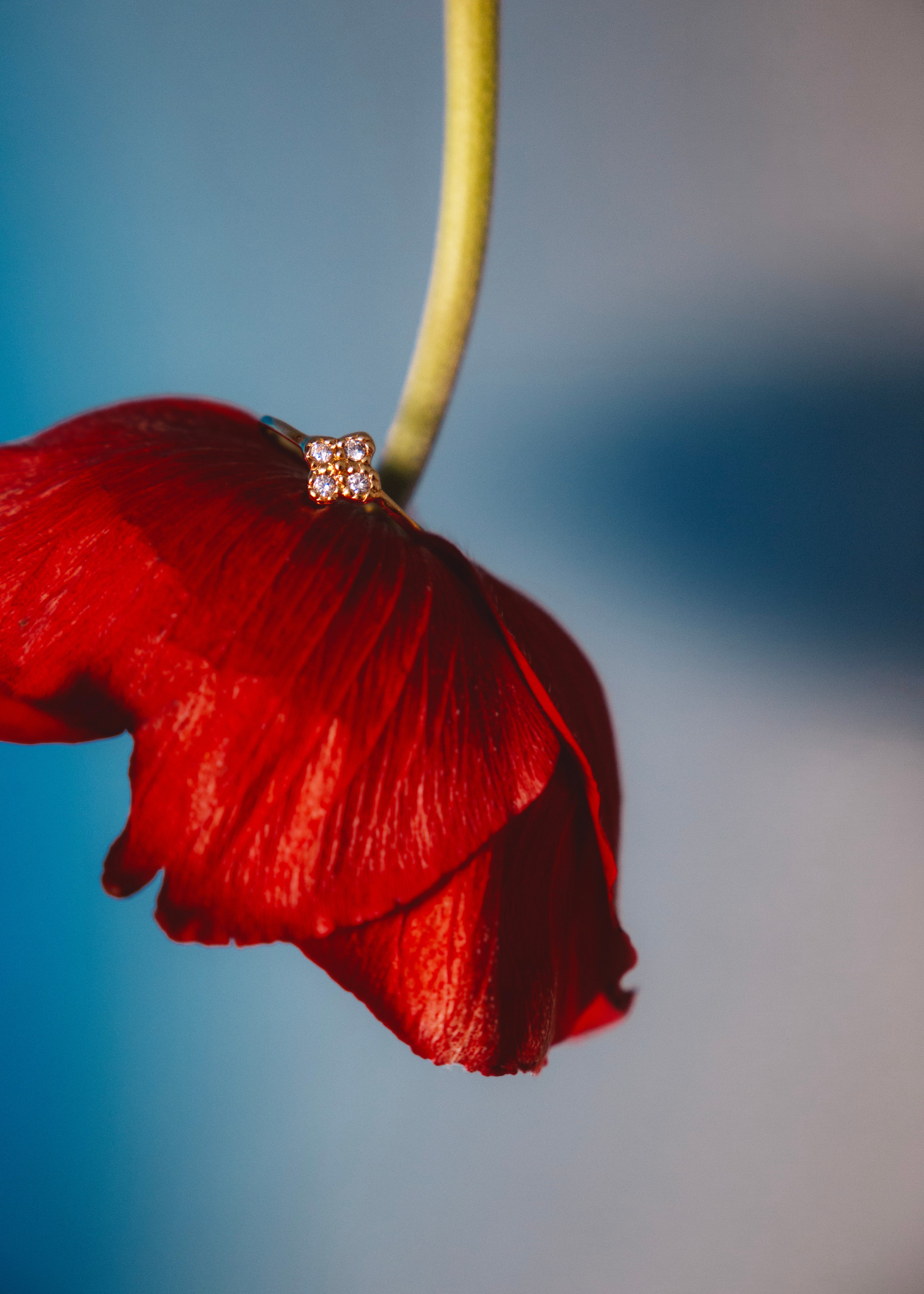 Bague en vermeil Zita blanche