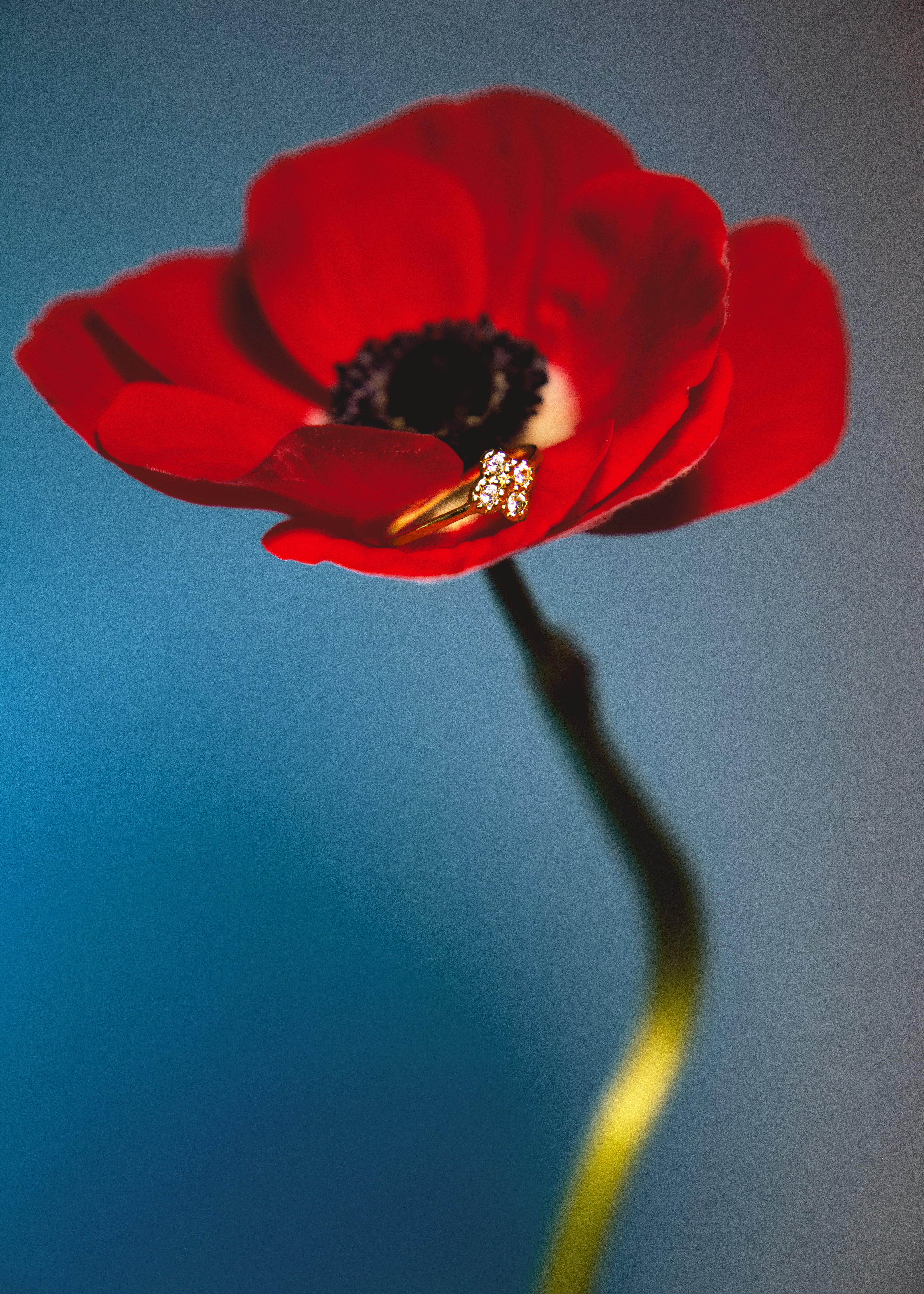 Bague en vermeil Zita blanche