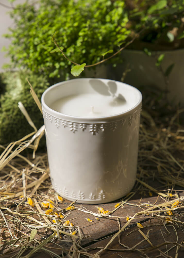 Demeter scented candle - woody notes 50h