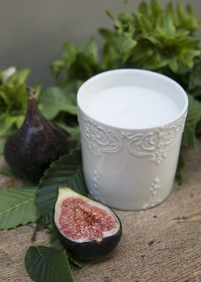 Bougie parfumée Ficus - notes fruitées 50h