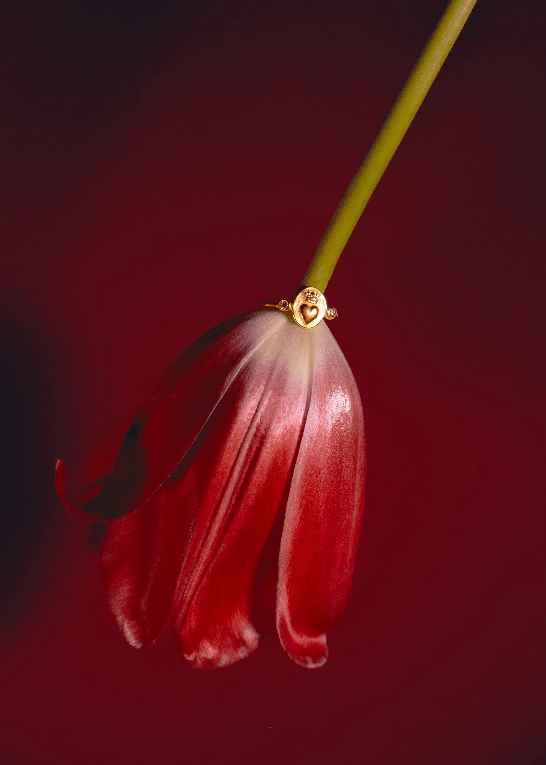 Bague en vermeil Amore