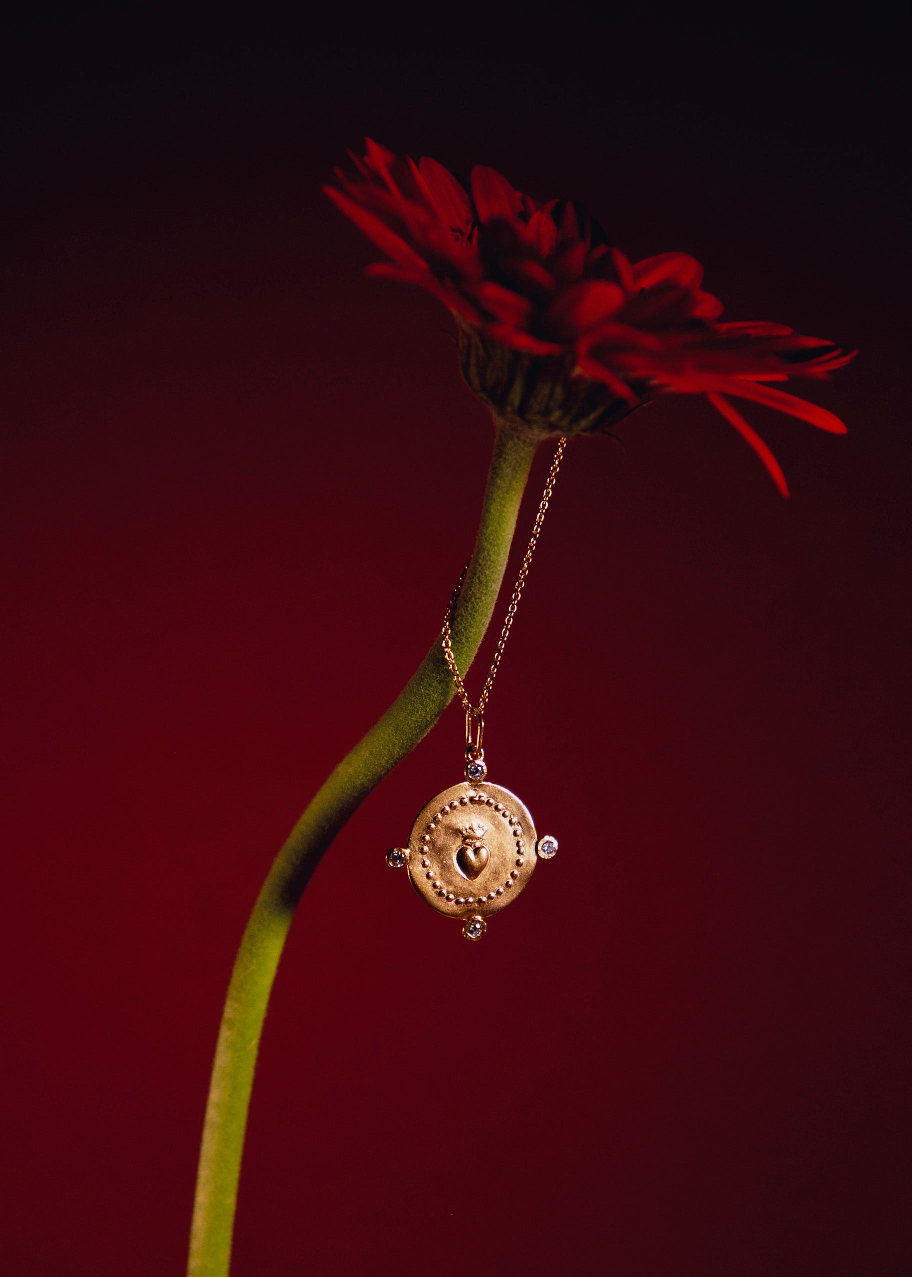 Collier en vermeil Amore