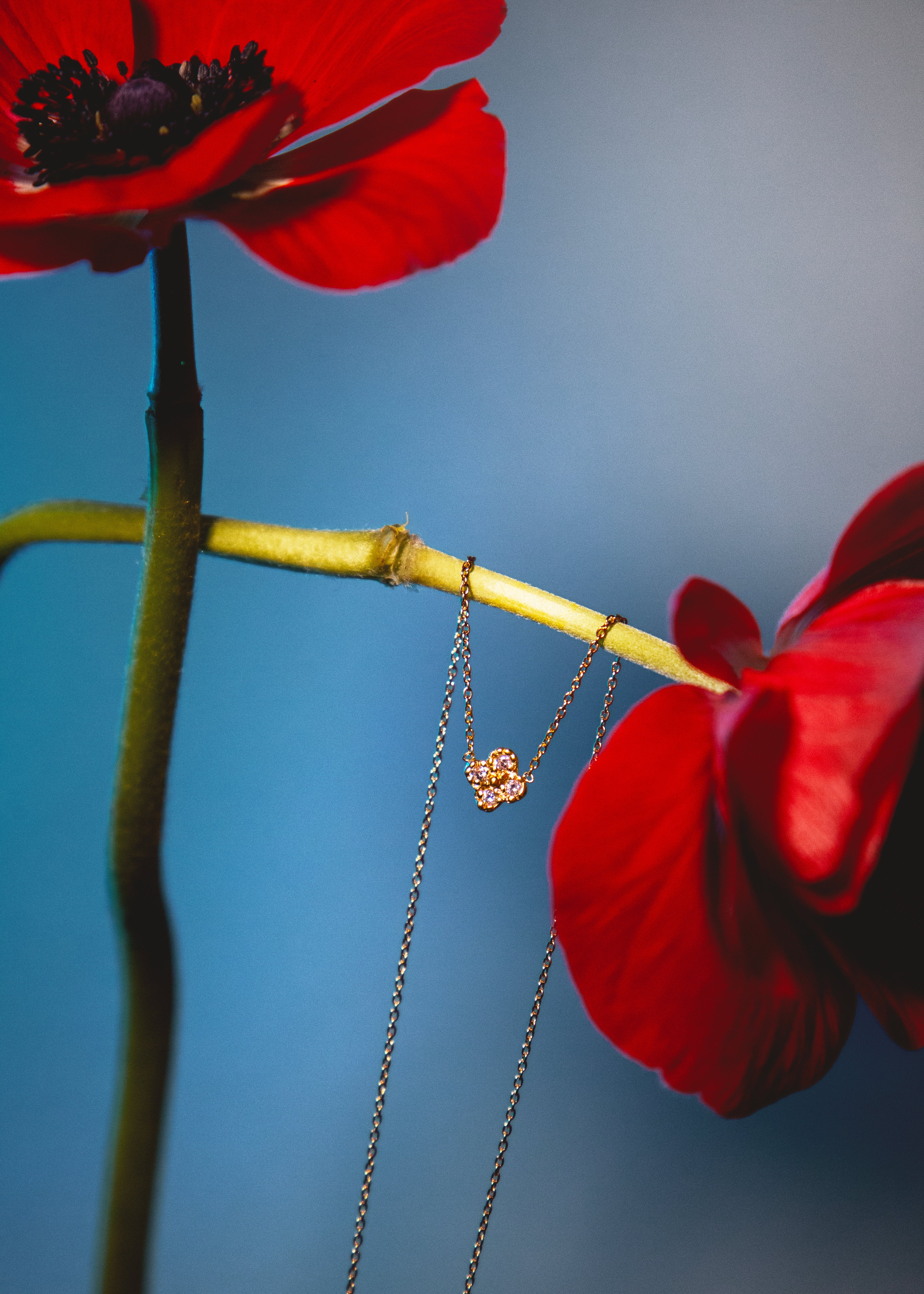 Collier en vermeil Zita