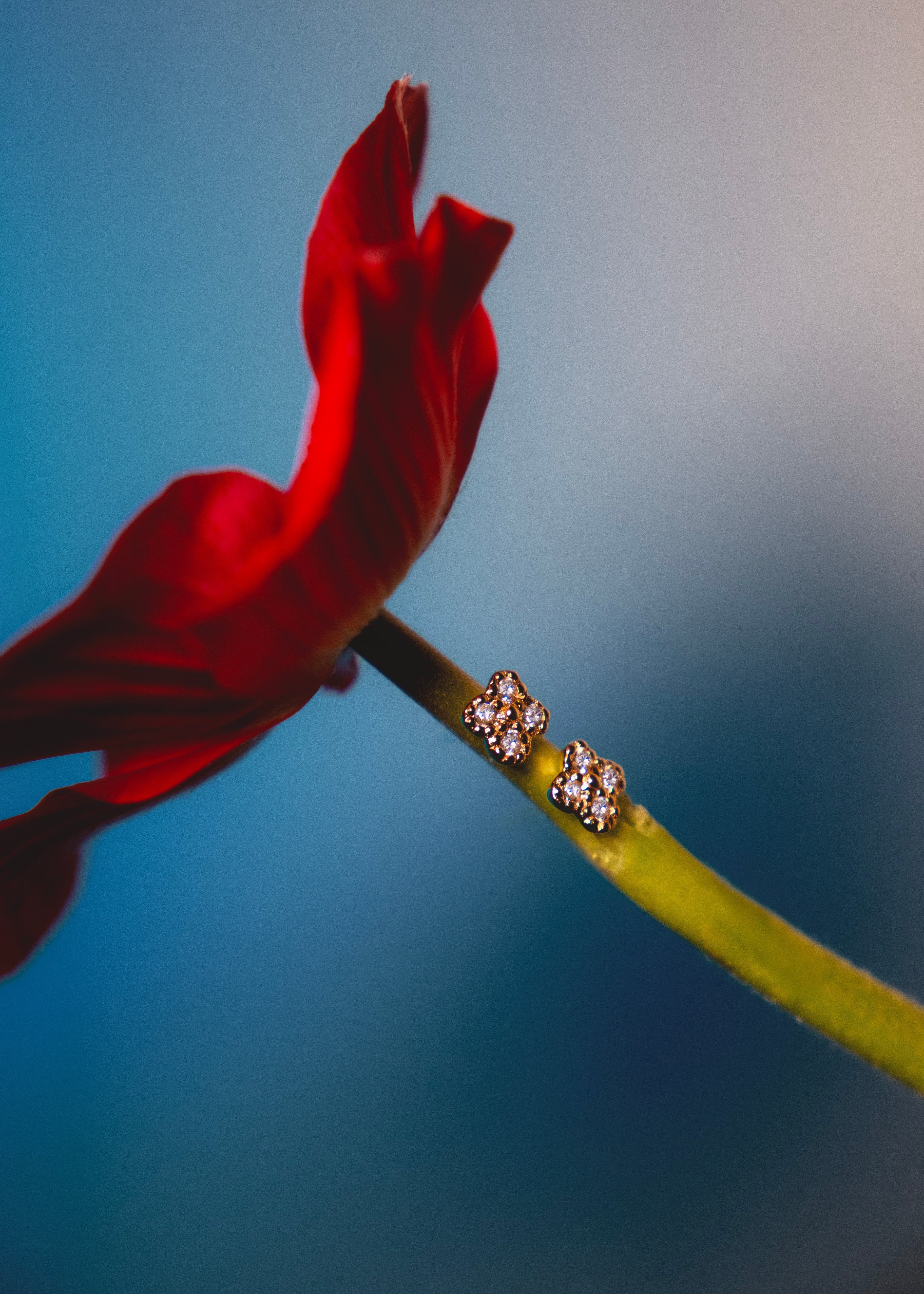 Zita Silver-gilt earrings