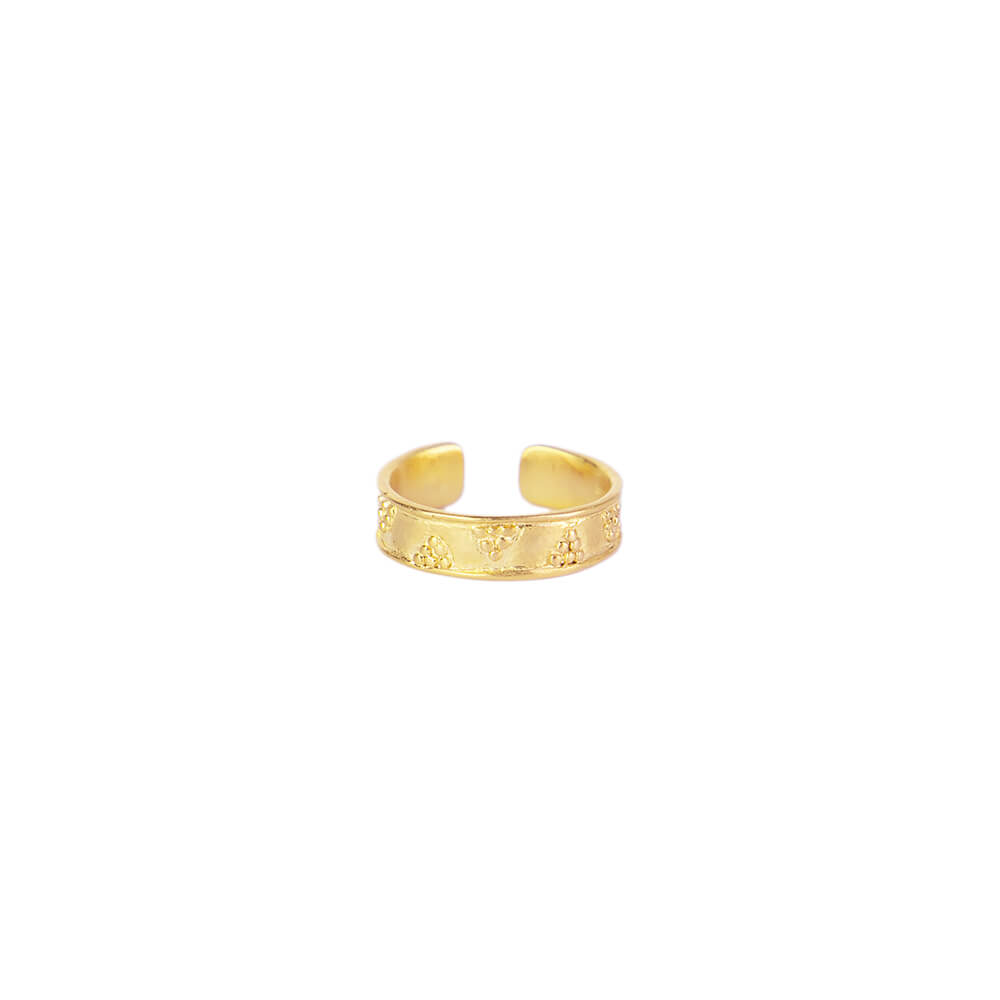 Bague | Vermeil | Précieux | Alix D. Reynis